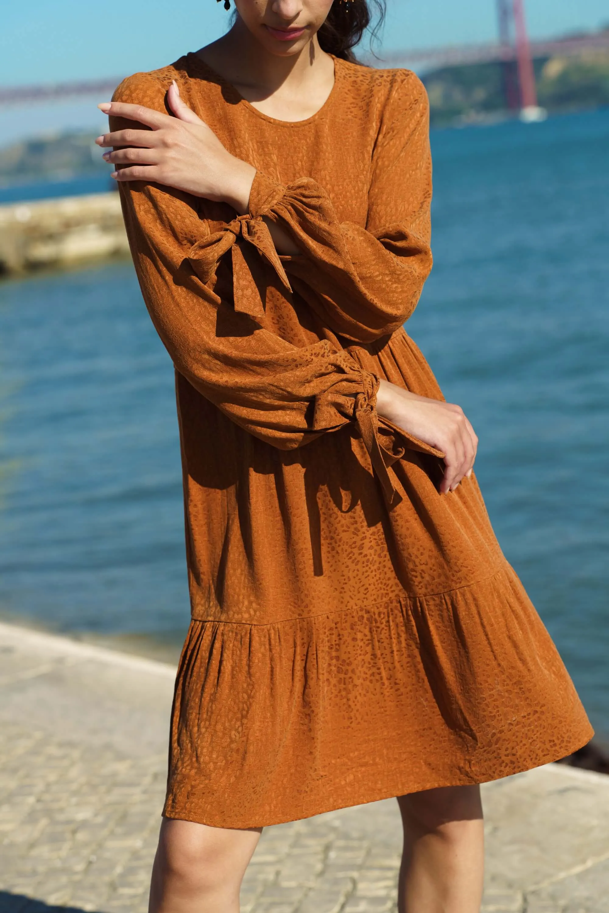 Hailey Dress Golden Leo