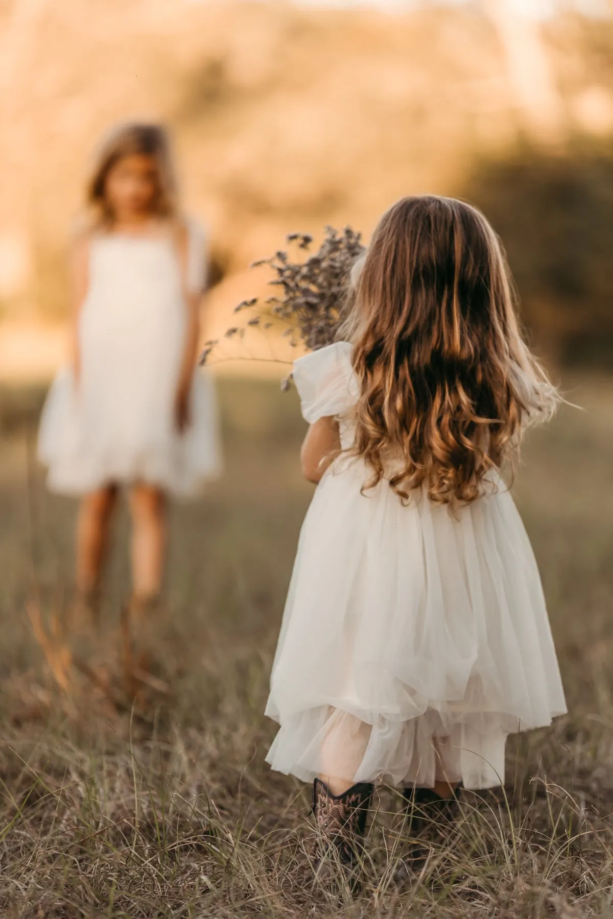 Juliet Dress (antique ivory tulle)