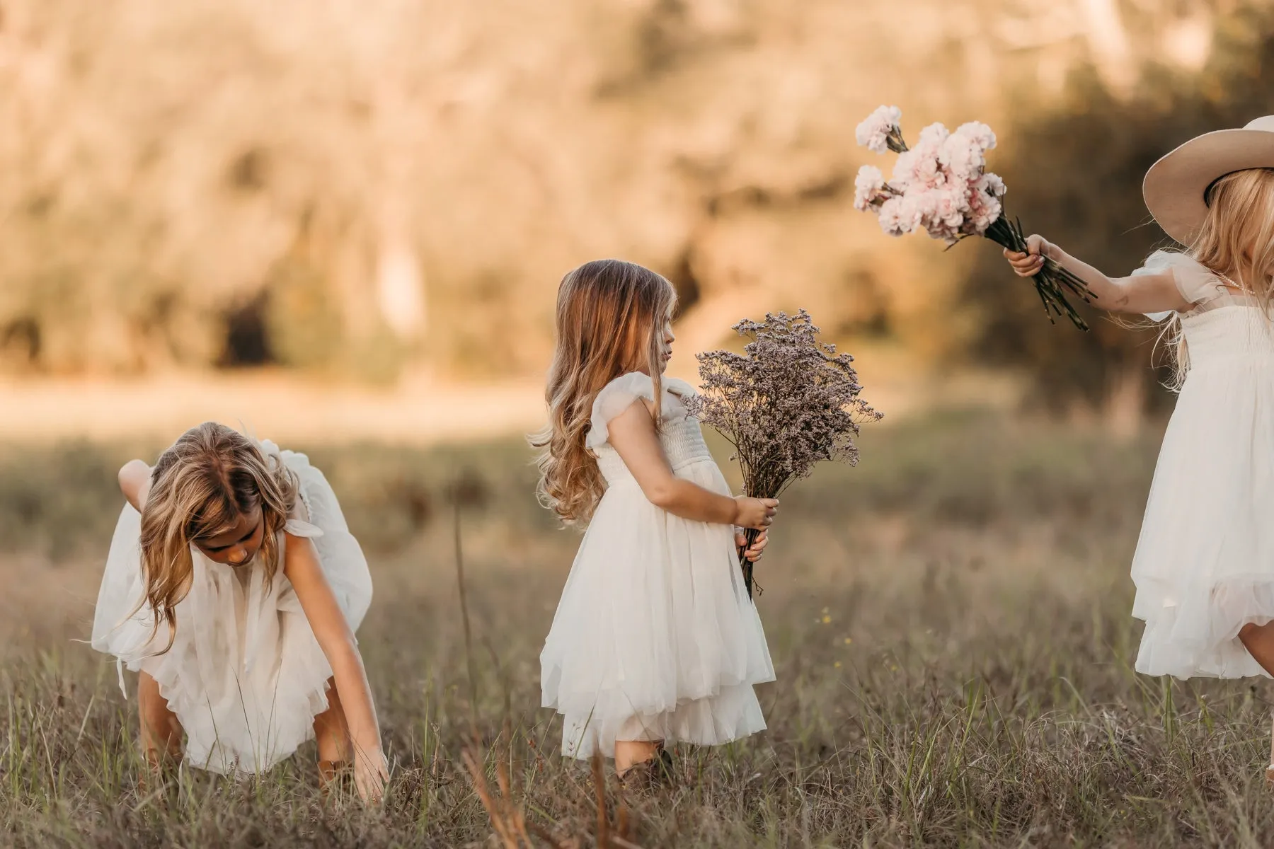 Juliet Dress (antique ivory tulle)