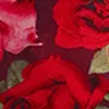 Patrice Floral Ruched Bodycon Dress